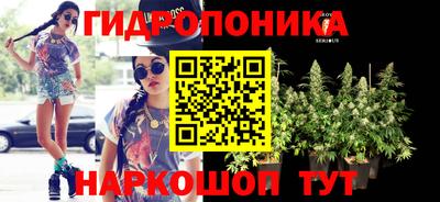 МДПВ Гусев