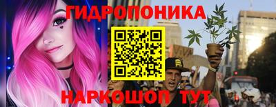 амф Гусь-Хрустальный