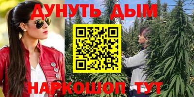 МДПВ Гусев
