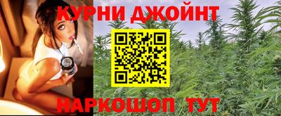 мяу мяу мука Гусиноозёрск