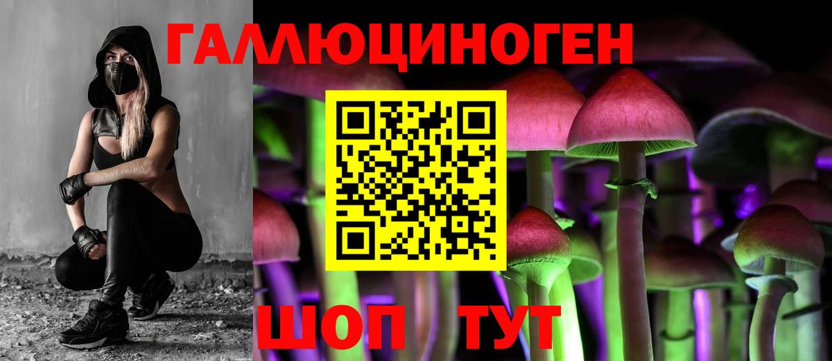 Псилоцибиновые грибы ЛСД  Вход с VPN  Саянск 